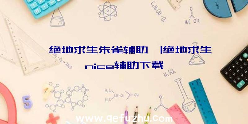 「绝地求生朱雀辅助」|绝地求生nice辅助下载